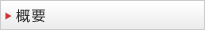 概要