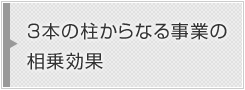 3本の柱からなる事業の相乗効果